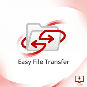 【anydesk官网】品牌 - AnyDesk远程控制在远程IT咨询中的应用